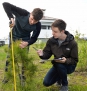 Биологи из Санкт-Петербурга обследуют посадки деревьев и кустарников на экспериментальных участках в ямальских городах